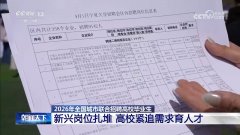 央视网动静：202
